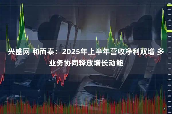 兴盛网 和而泰：2025年上半年营收净利双增 多业务协同释放增长动能