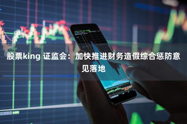 股票king 证监会：加快推进财务造假综合惩防意见落地