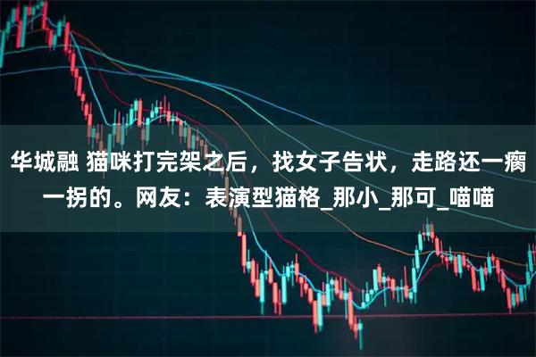 华城融 猫咪打完架之后，找女子告状，走路还一瘸一拐的。网友：表演型猫格_那小_那可_喵喵