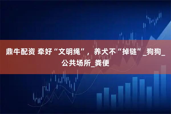 鼎牛配资 牵好“文明绳”，养犬不“掉链”_狗狗_公共场所_粪便