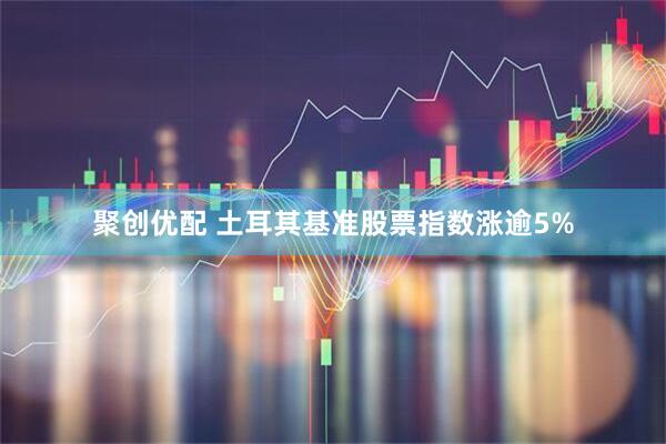 聚创优配 土耳其基准股票指数涨逾5%