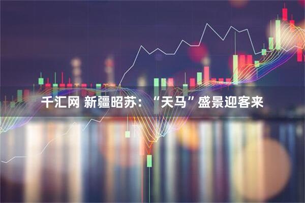 千汇网 新疆昭苏：“天马”盛景迎客来